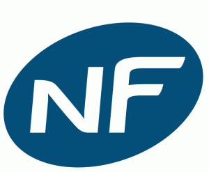 NORME nf